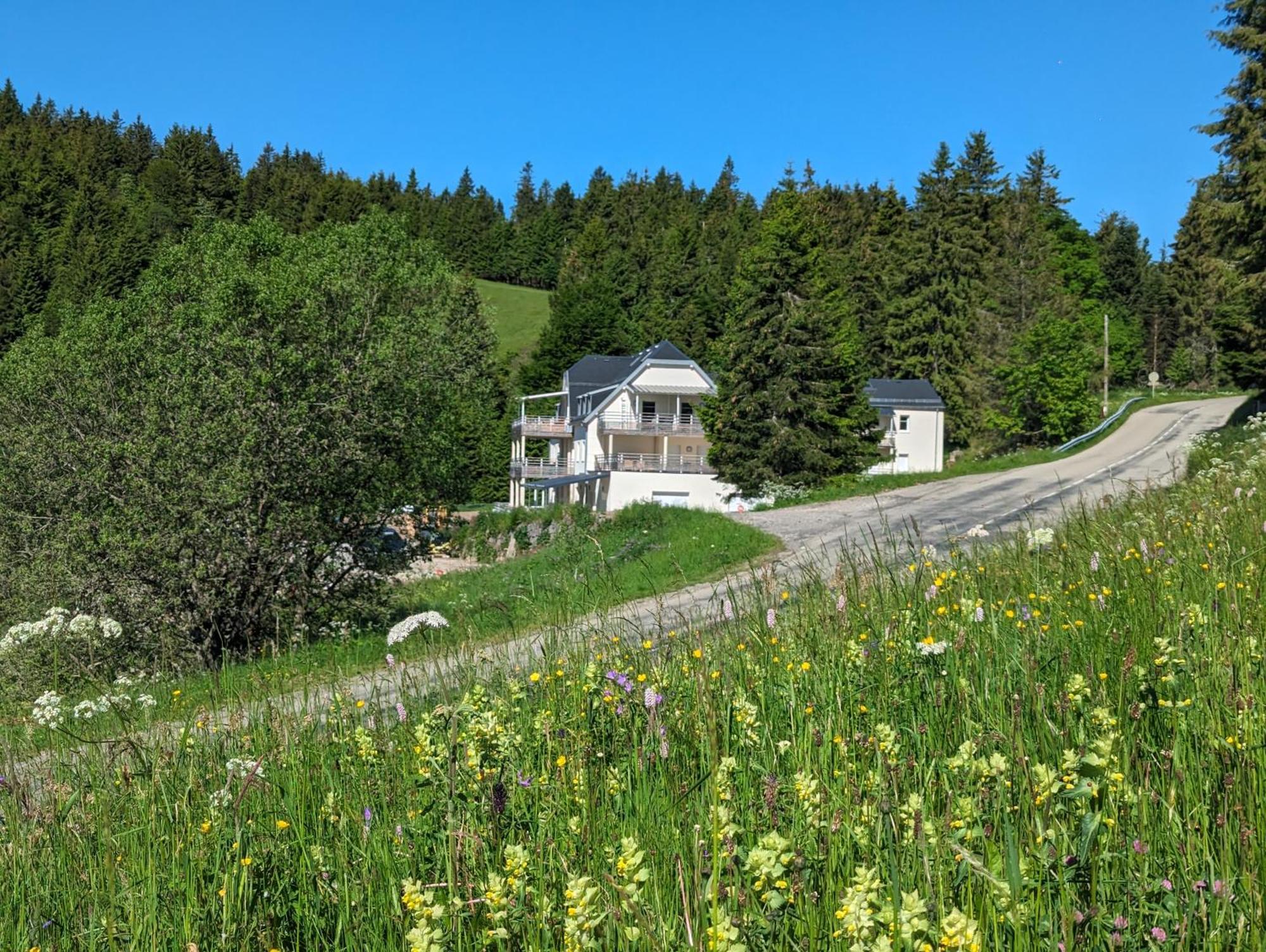 La-haut Au Lacblanc Orbey