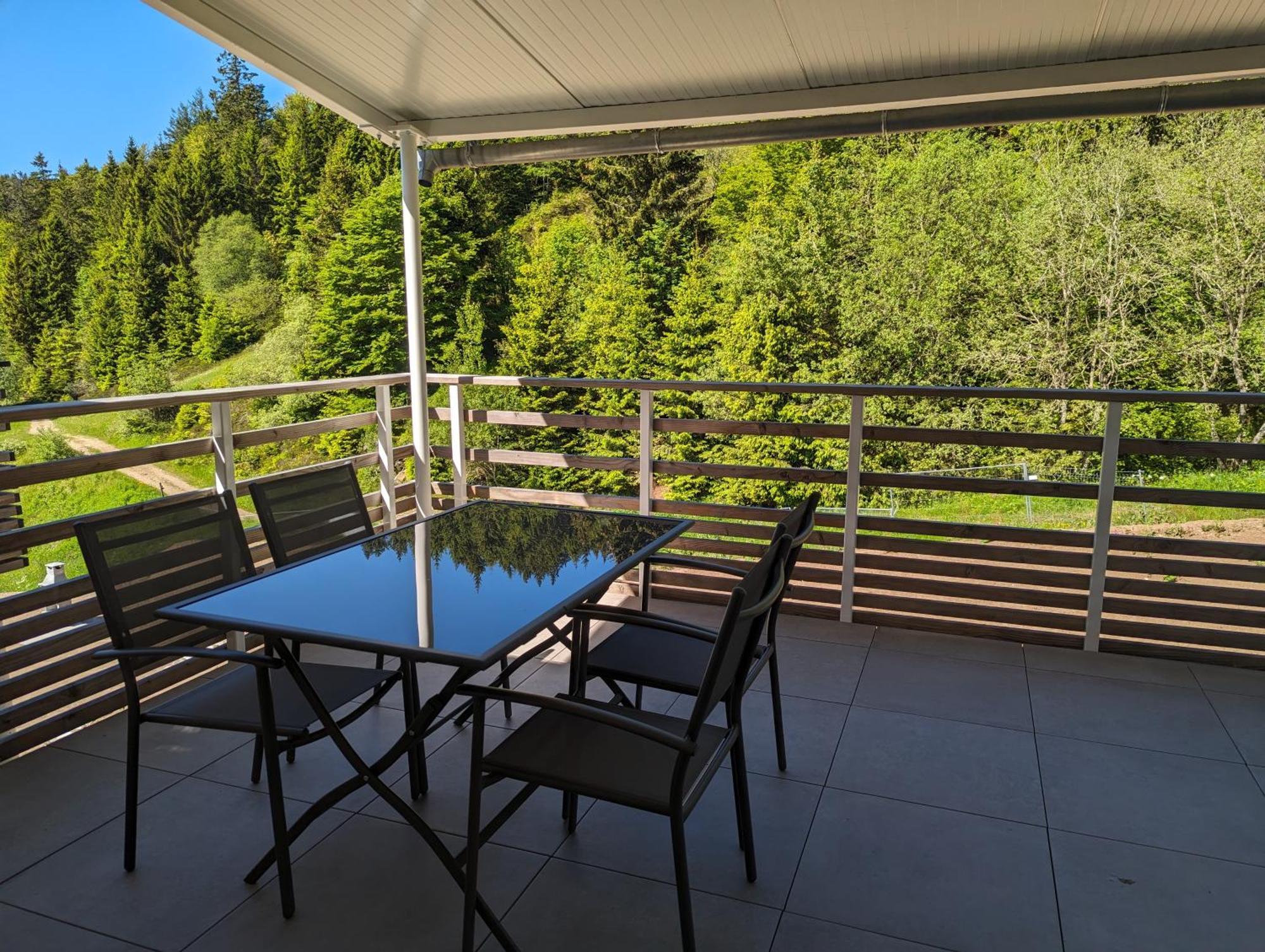 La-haut Au Lacblanc Appartement Orbey